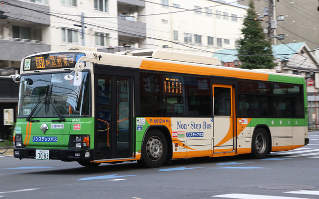 A613.2.jpg
