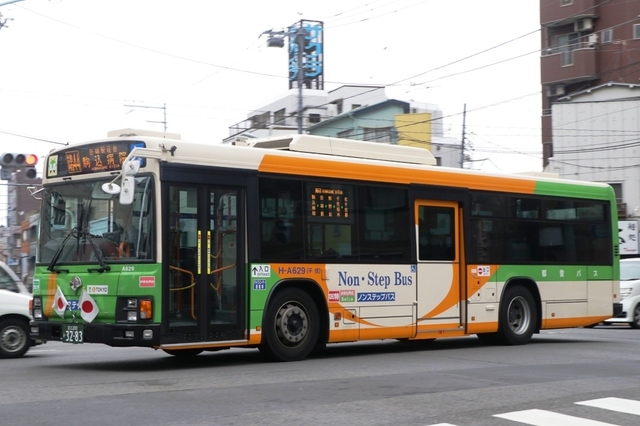 A629.1.jpg