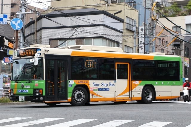 A663.2.jpg