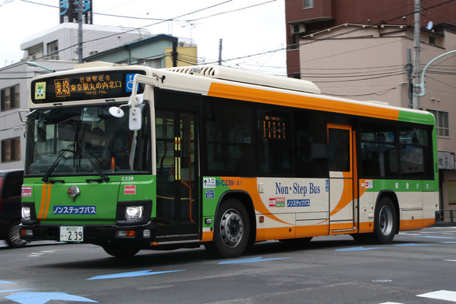 C239.1.jpg