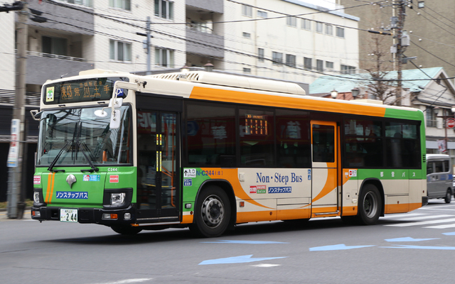 C244.1.jpg