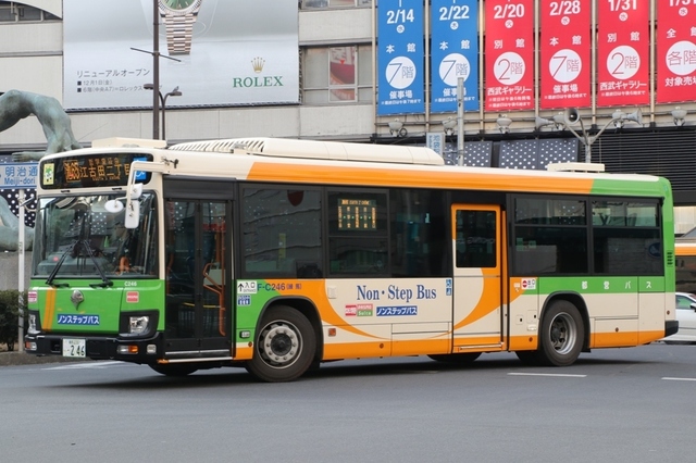 C246.1.jpg