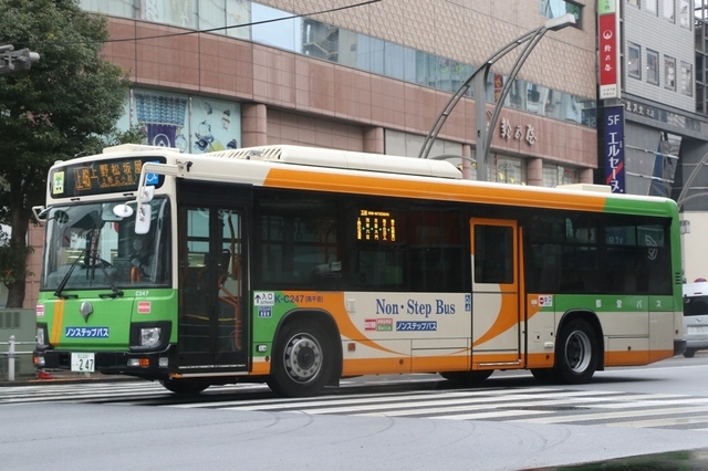 C247.1.jpg
