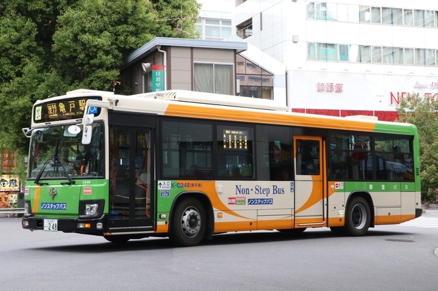 C248.1.jpg