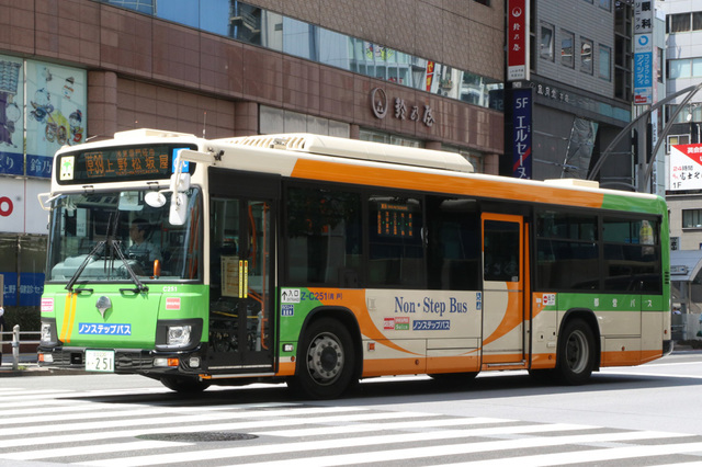 C251.1.jpg