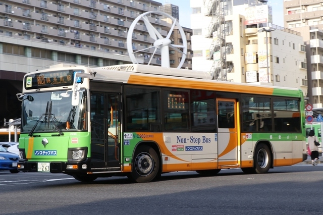 C263.1.jpg