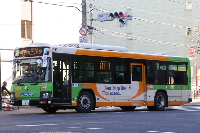 C273.1.jpg