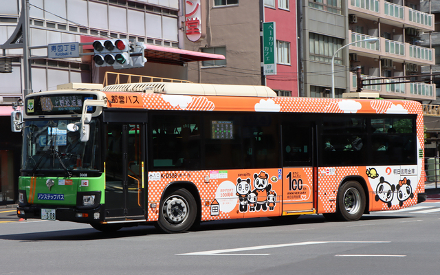 D308.4Mp100N.jpg