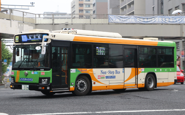 D339.1.jpg