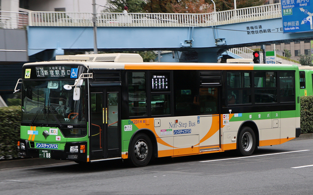 K231.1.jpg