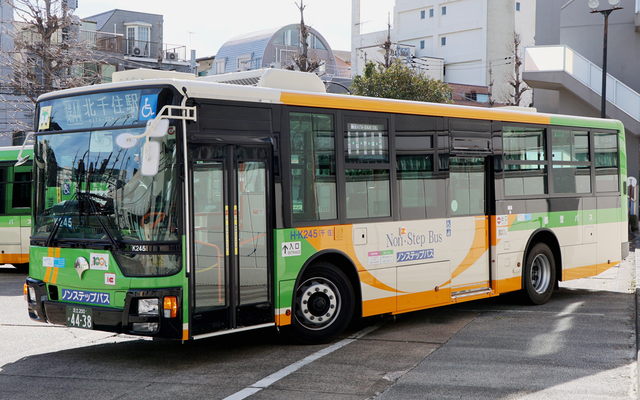 K245.1.jpg
