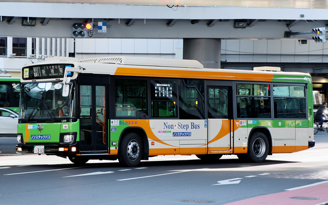 L313.1.jpg