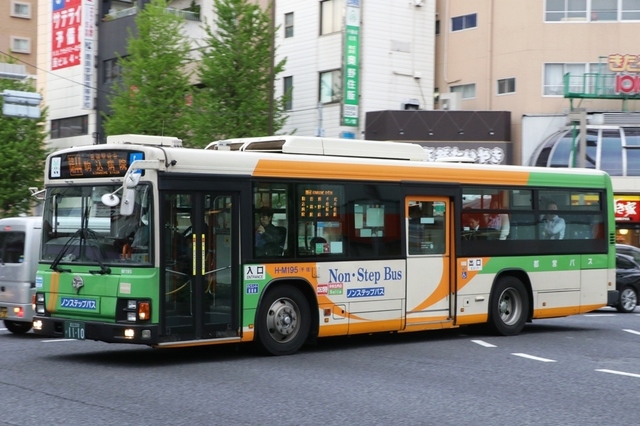 M195.5.jpg