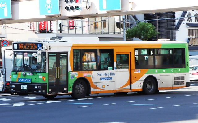 P462.6.jpg