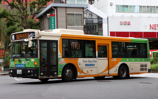 P509.9.jpg