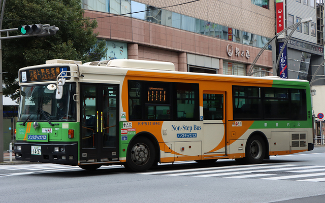P511.9.jpg