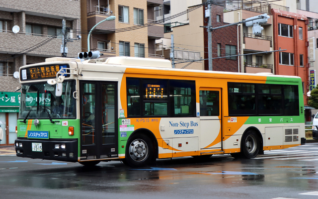 P515.90S-1.jpg