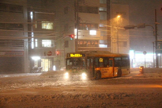 R586@草63.jpg