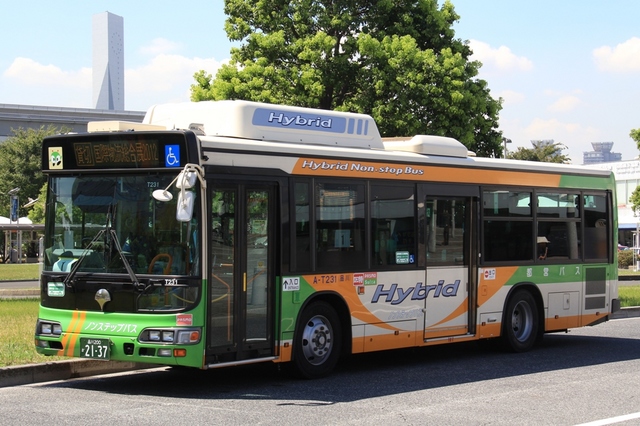 T231.4.jpg