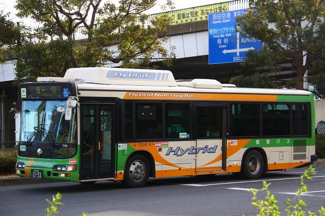 T238.5.jpg