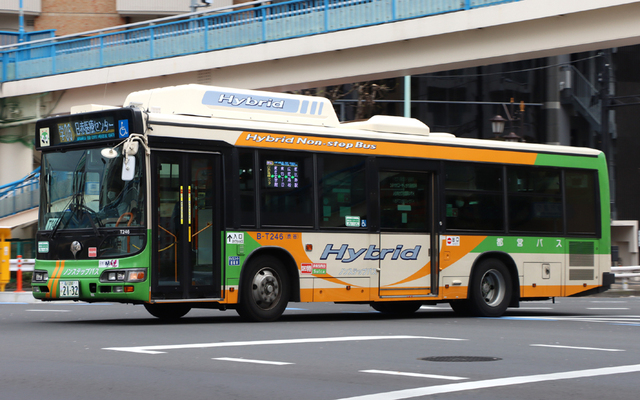 T246.6FCLED.jpg