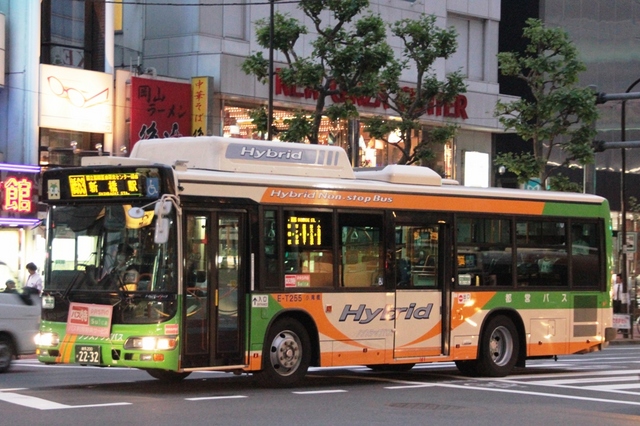 T255.1.jpg