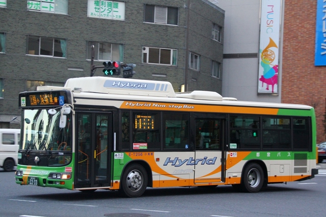 T256.2.jpg