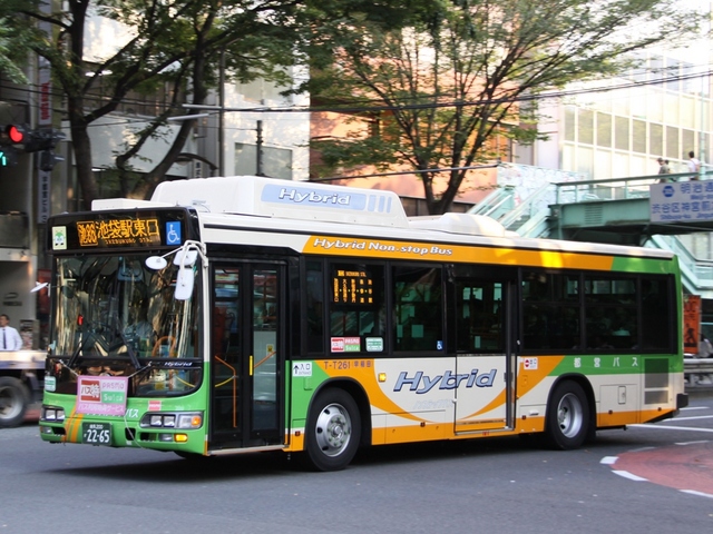 T261.1.jpg