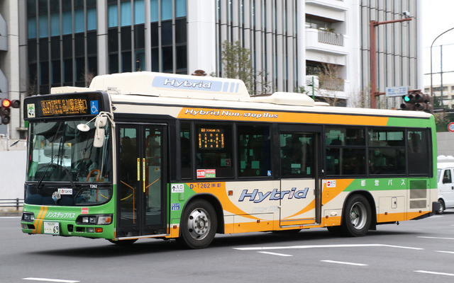 T262.4.jpg