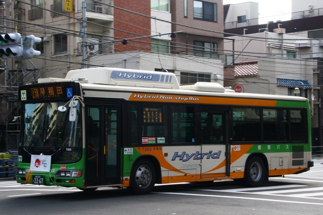 T263.2.jpg