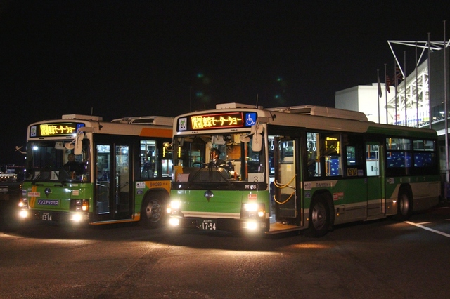 TMS2013.jpg